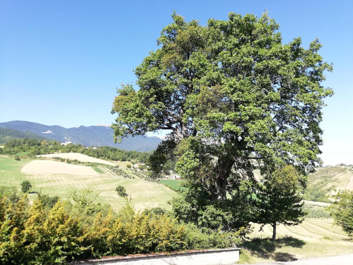 Casa A Montebello Di Bertona Con Vista Gran Sasso Villa Exterior photo